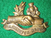 M114 - Colchester & Hants Regiment Collar Badge